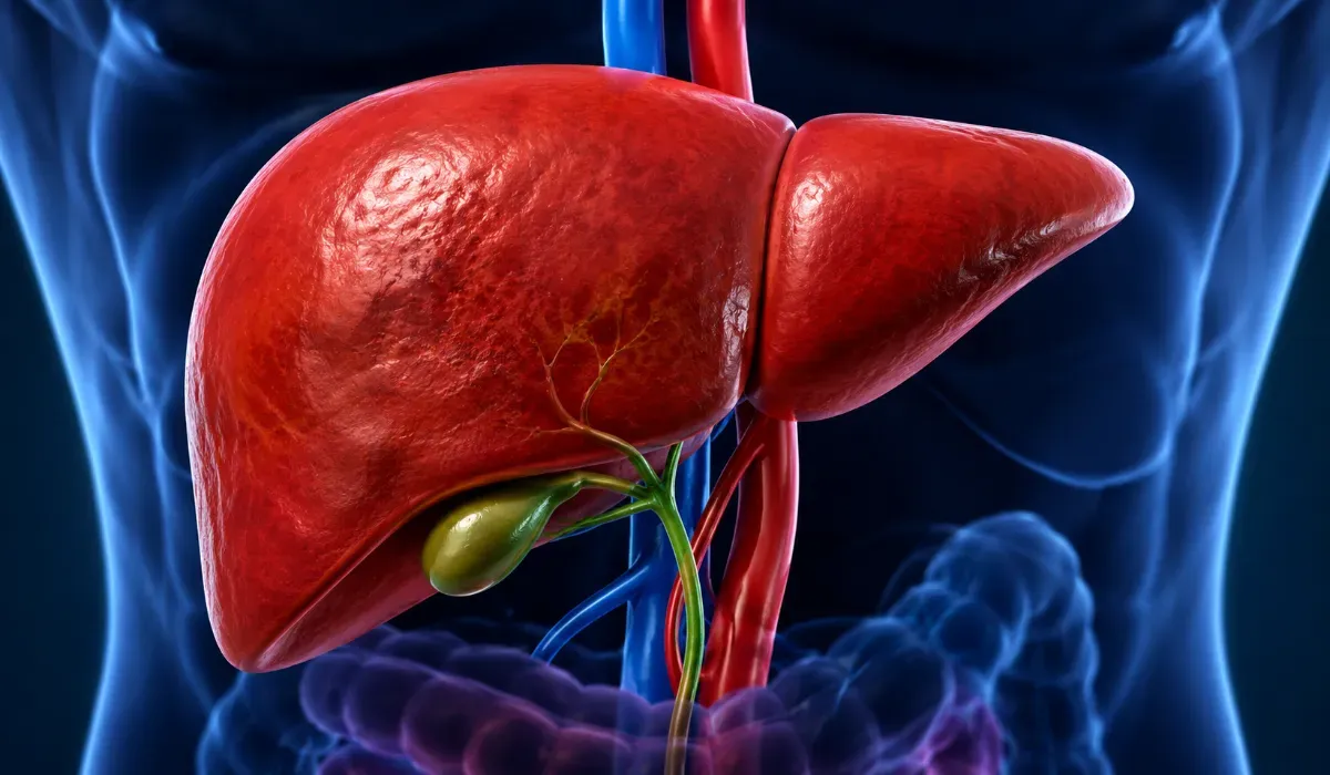 Fatty liver natural remedies