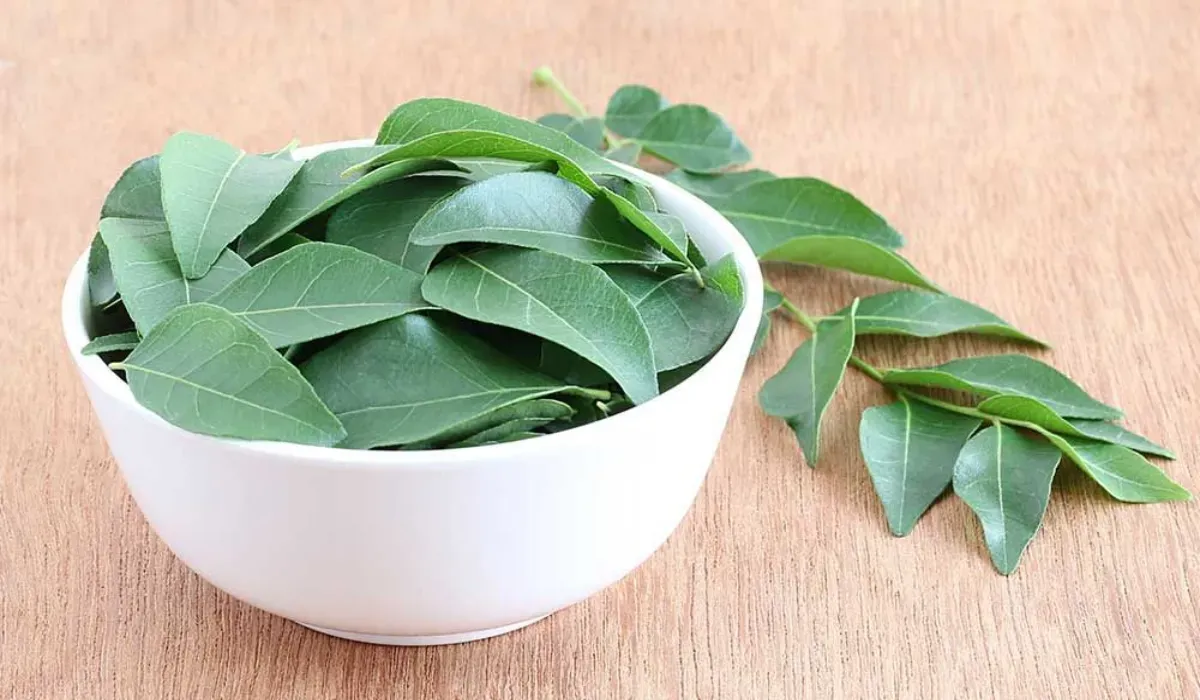curry leaves benefits for hair growth