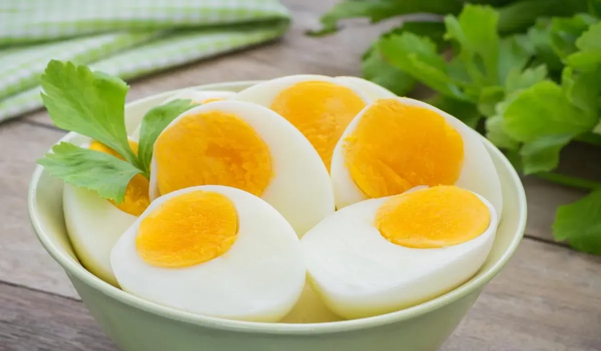 quick healthy breakfast recipes