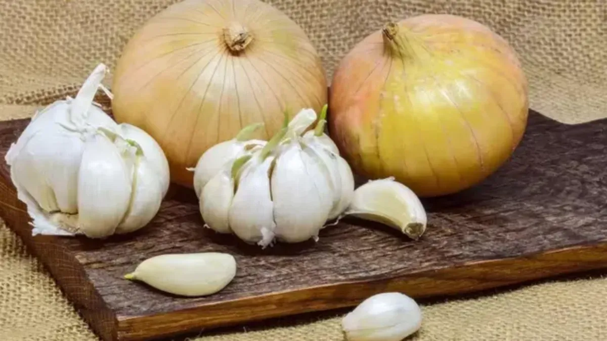 Garlic Onion
