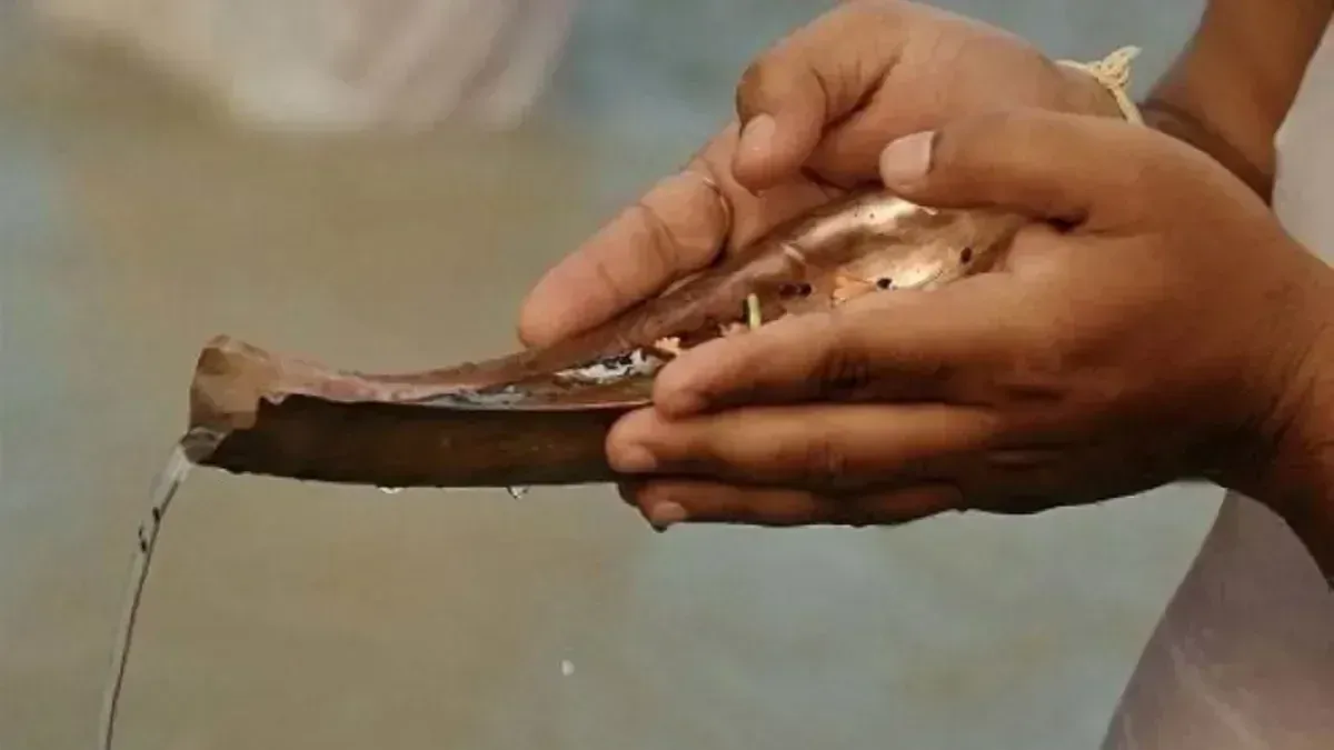 Matru Navami Kab Hai
