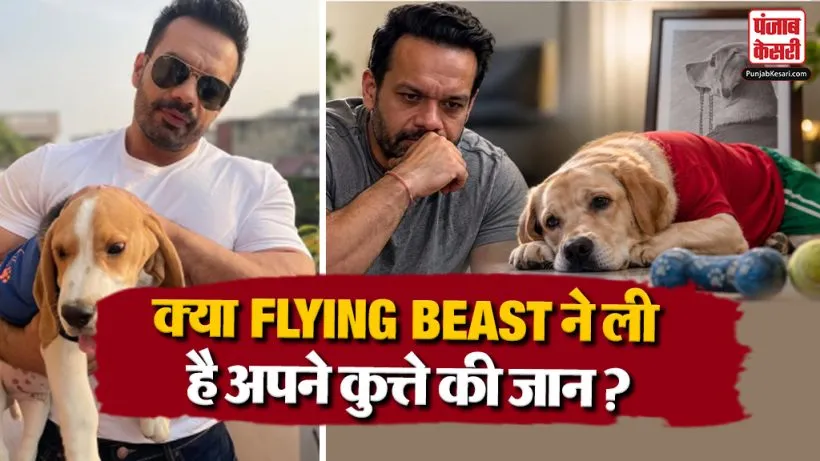 Flying Beast Dog Death