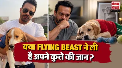 Flying Beast Dog Death