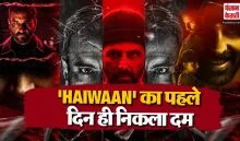 Haiwaan Day 1 Collection