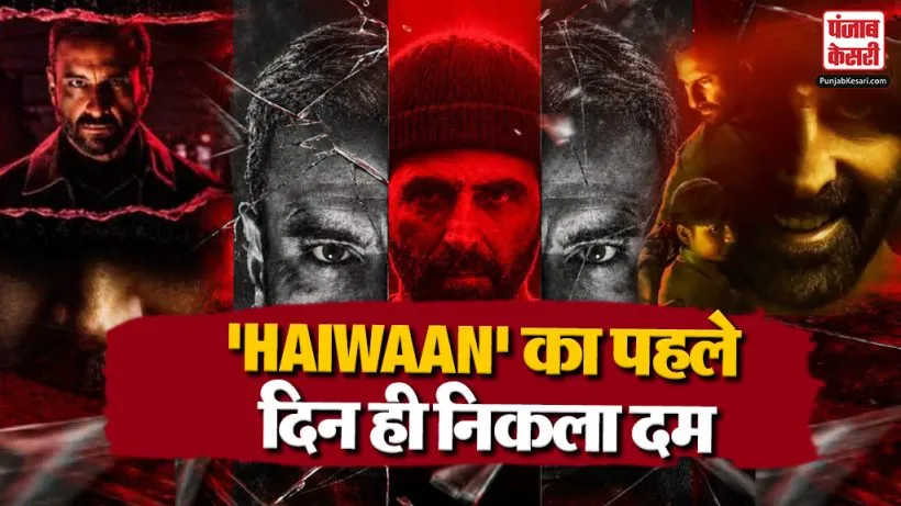 Haiwaan Day 1 Collection