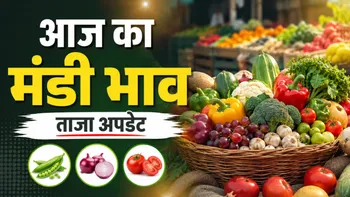 Aaj Ka Mandi Bhav 15 September