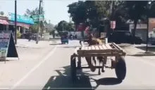 Uttarakhand Tangaw Accident (credit social media )
