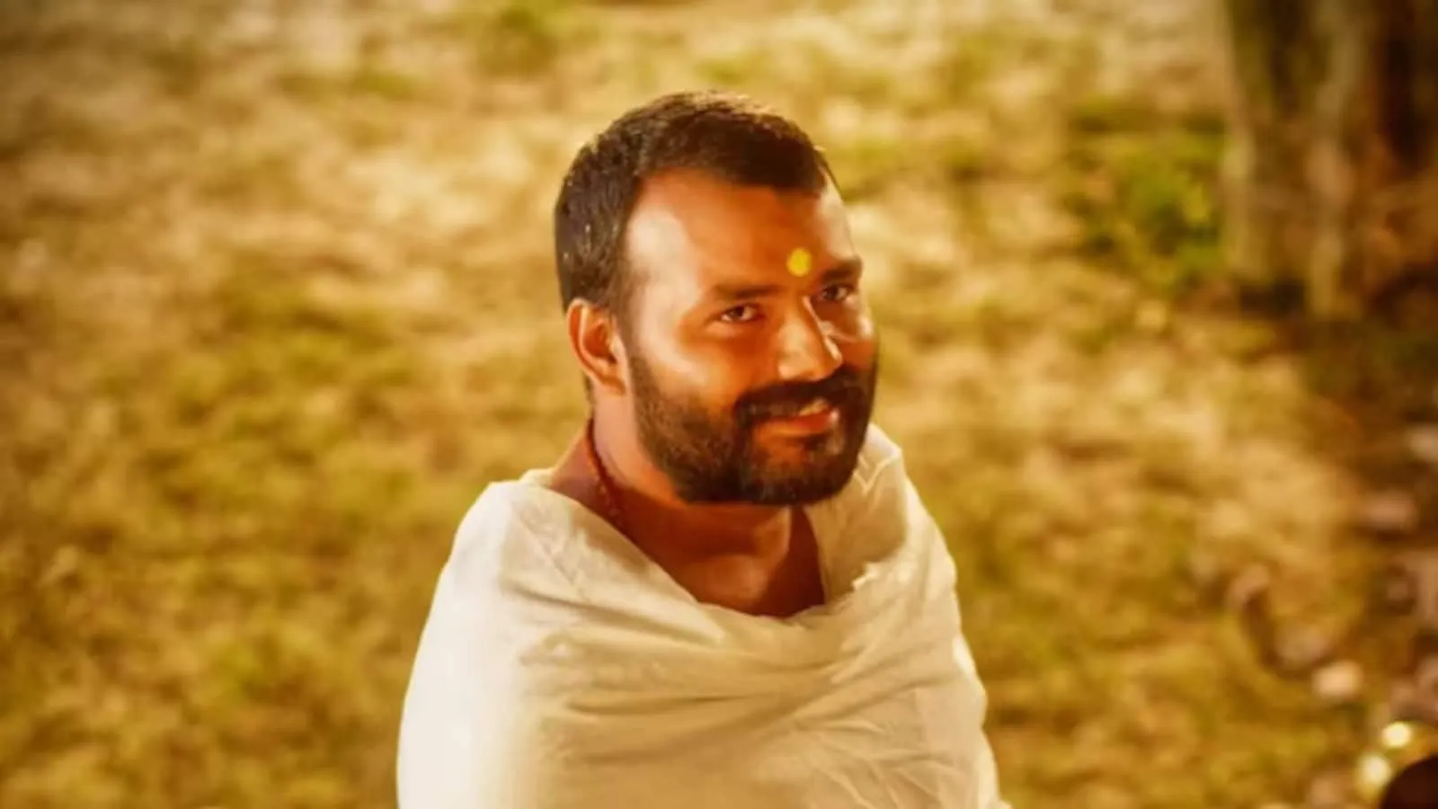 Hanuman Ansh Box Office Collection Day 28( Source: Social Media)