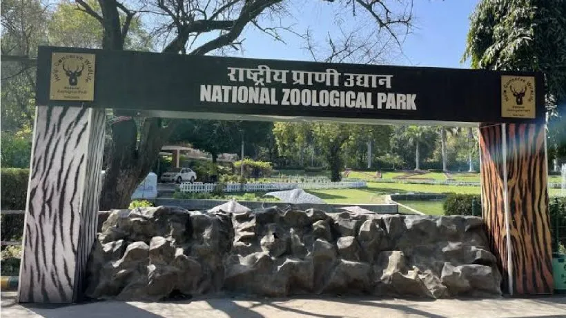 zoo News