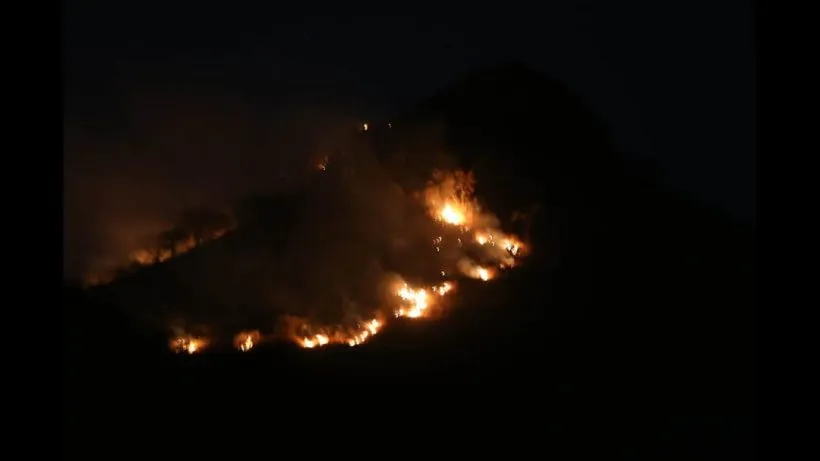 Rajasthan Forest Fire