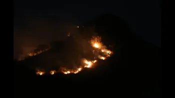 Rajasthan Forest Fire