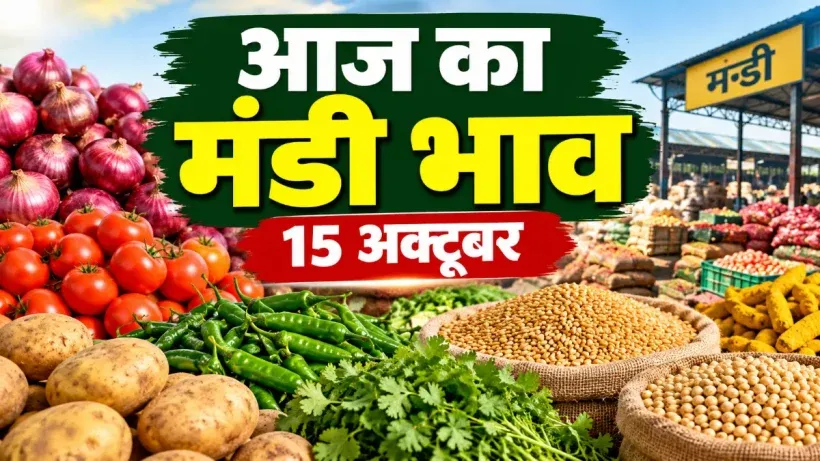 Aaj Ka Mandi Bhav 15 October