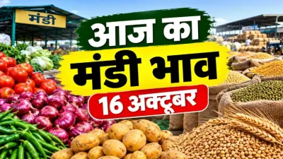 Aaj Ka Mandi Bhav 16 October