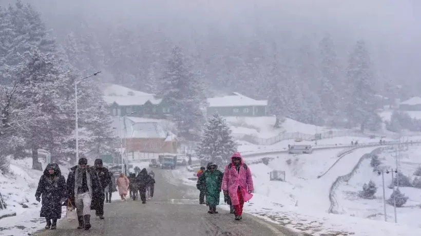 fresh snowfall in Kashmir