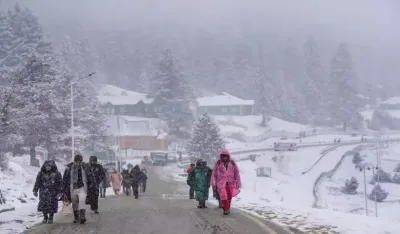 fresh snowfall in Kashmir