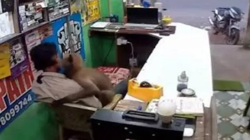 Monkey Hugs Worker