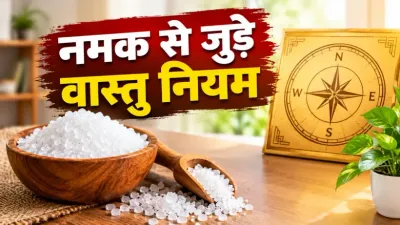 Salt Vastu Tips