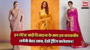 Karwa Chauth Looks( Source: Social Media)