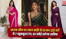 Karwa Chauth Saree Colours 2026( Source: Social Media)