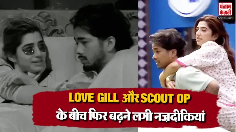 Love Gill And Scout Op Relation