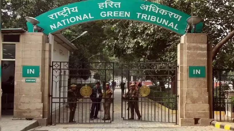 NGT