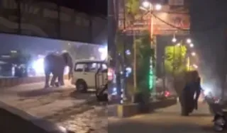 Pilibhit Elephant Video Viral