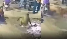 Vegetable Seller Saves Child ( credit social media )