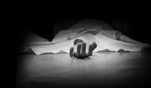 Dehradun Builder Suicide Case (social media )