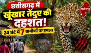 Leopard Attack Chhattisgarh (AI genrated)