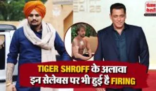 Firing On Celebs